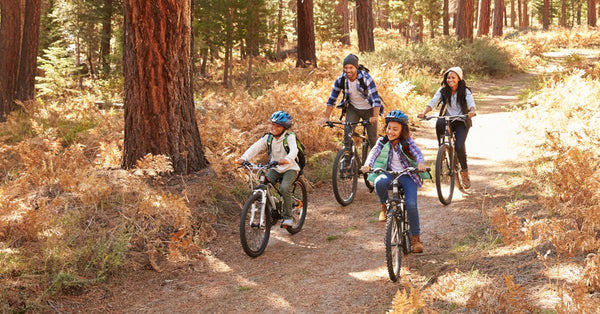 The Most Amazing Family Bike Ride: How to make it happen
